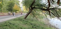 Havainnekuvassa uudella kasvillisuudella peitetty ranta.