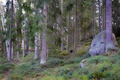 Mustavuoren eteläosan luonnonsuojelualue.