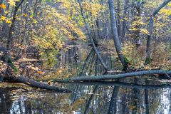 Tali nature reserve