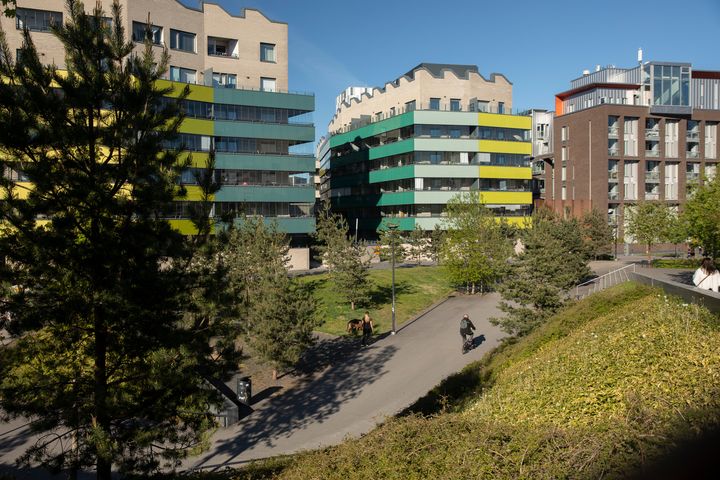 Hyväntoivonpuisto, jossa pyöräilijä ja kävelijä.