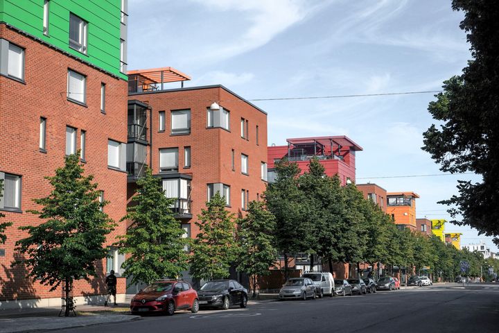 Parkerade bilar på gatan.