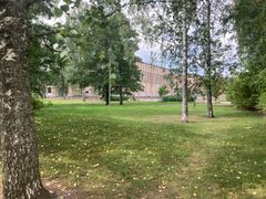 Puistoinen alue, puita, nurmea ja taustalla uusi rakennus.