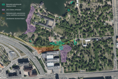 I området finns den sällsynta rotkörveln. Nya platser i området ska hittas för växten som hamnar under tunneln.