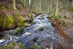 Valokuva alueella olevasta metsästä ja purosta.