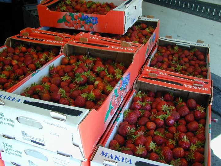 Mansikoiden pakkauslaatikoita varastossa.