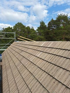 Roof.
