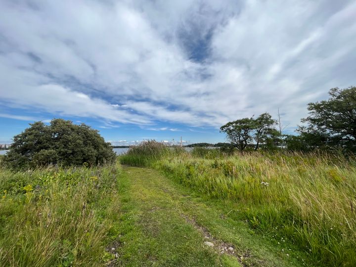 Meadow landscape in Hermannin rantapuisto.