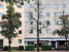 Kuollut lehmus Mannerheimintiellä.