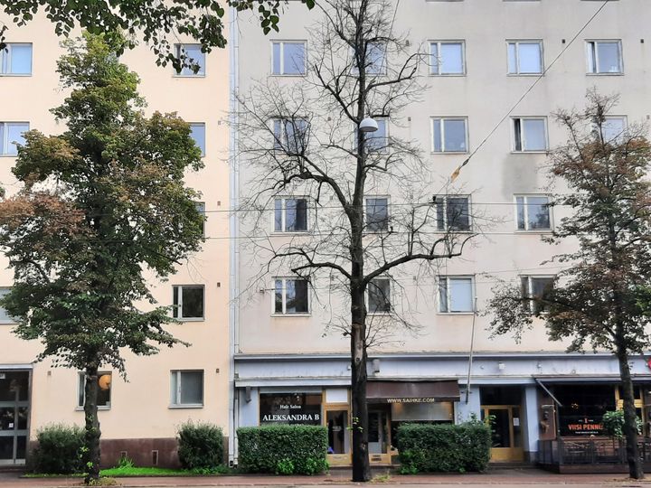 Kuollut lehmus Mannerheimintiellä.