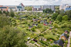 Vy över Brunakärrs koloniträdgård.