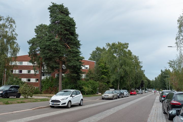 Pysäköintiä Kulosaaren puistotiellä.