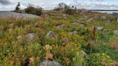 Vy från  Långratan.