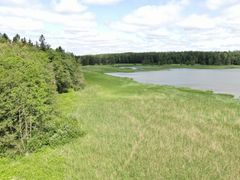 Porvarinlahden etelärannan ranta-aluetta.