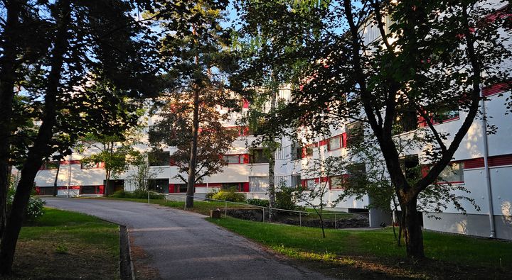 Rakennus, pihatie ja puita