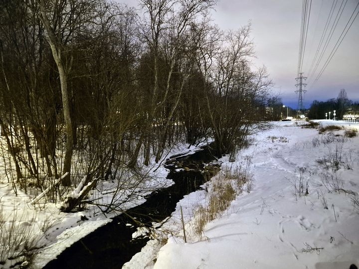 Talvinen Mustapuro Myllypuron liikuntapuistossa.