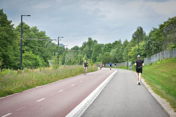 Pyöräilijöitä ja kävelijöitä Raitiolinja 13:n varrella.