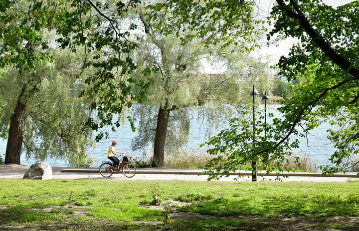 Hesperianpuiston peruskorjaus alkaa lokakuussa 2026 ranta-alueiden ja viereisten reittien kunnostuksella.