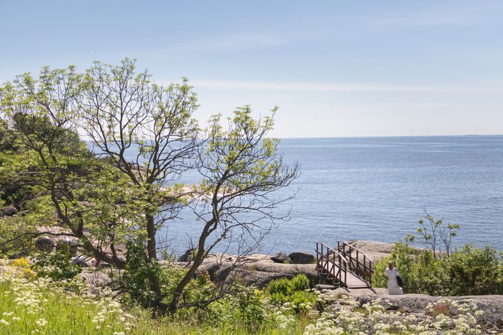 Merellinen Helsinki -viikonloppua vietetään 6.-8.6.2025