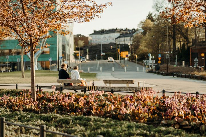 Kuvistuskuva Töölönlahdenkadulta.