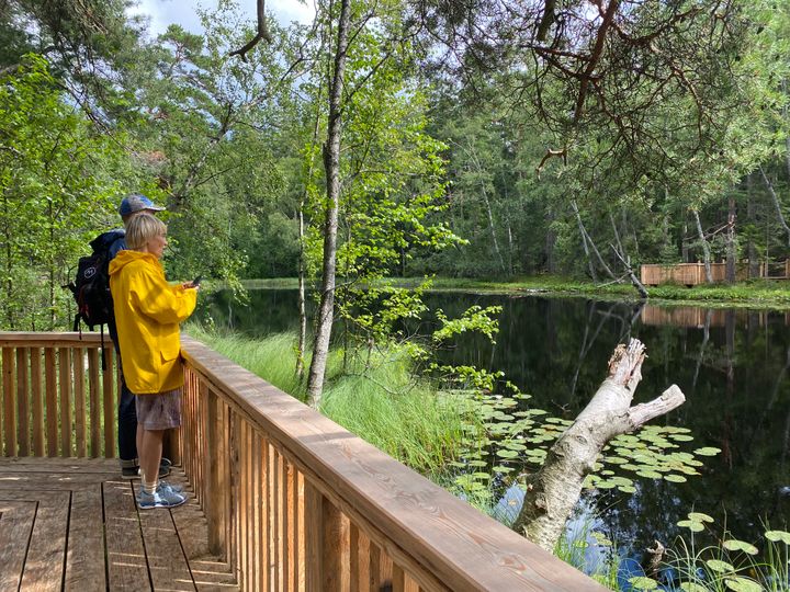 Kruunuvuorenlammen luonnonsuojelualue.