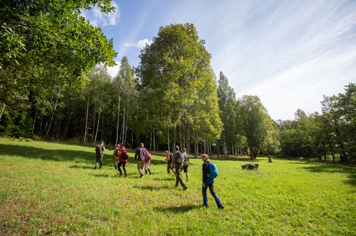 Retkeilijöitä kävelee niityllä aurinkoisena päivänä.