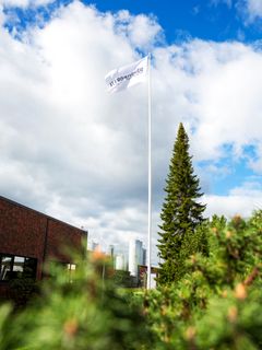 Muraalin toivotaan lisäävän Juustoportin meijerialueen viihtyisyyttä.