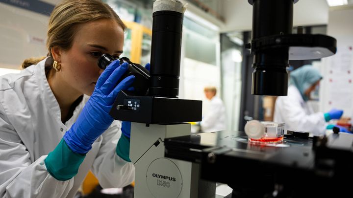 Veripalvelun tutkija katsoo mikroskooppiin.