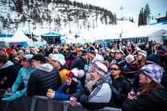 Harmaa Rinne keräsi 2025 uuden ennätysyleisön ja on ehdolla vuoden festivaaliksi!
