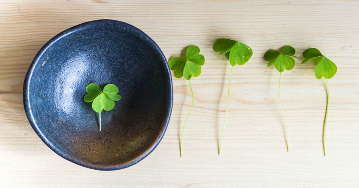 Apilaperheissä lapsella voi olla esimerkiksi kolme tai neljä vanhempaa.
