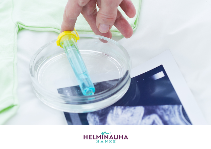 Helminauha-hanke
