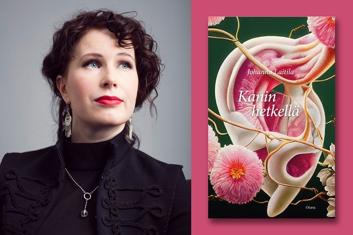 Johanna Laitila: Kanin hetkellä