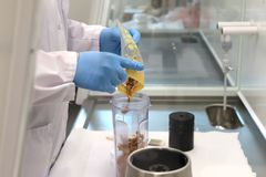 Kantarelleja kaadetaan muovipussista lasikulhoon laboratoriossa.