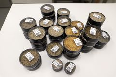 Sienisilppuaa pienissä muovirasioissa