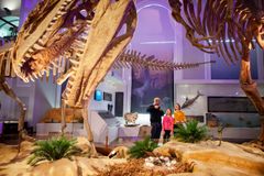 Koko perheen museokohteet vetivät yleisöä myös vuonna 2025. LUOMUS Luonnontieteellinen museo kuuluu vuodesta toiseen Museokortti-kävijöiden kestosuosikkeihin.