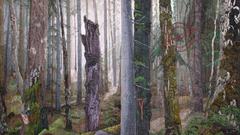 Taiteilijan työ vaatii keskittymistä. Poikilo-museoiden näyttelyn taiteilija Soile Hovila kutoi yhdentoista neliömetrin kokoista kuvakudosta kolme vuotta. Kuvassa yksityiskohta Hovilan kuvakudoksesta Approved (2025).