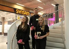 Paras palvelu -palkinnon sai Vianni NYT Hämeenlinnan lyseon lukiosta. Nuorten yritys suunnittelee ja toteuttaa tapahtumia.