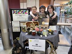 Shroomies NYT Etu-Töölön lukiosta