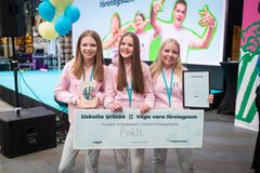 Företagshjälte-företag Pinkit