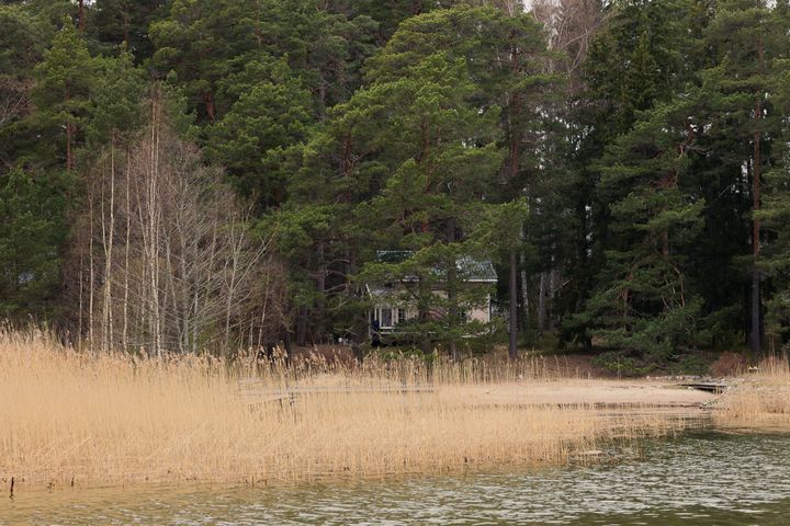 Kuvassa pilkottaa mökki meren rannalla puuston suojissa.
