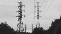 Kuva: Alex Boman / N2