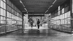 Kuva: Alex Boman / N2