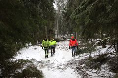 Kynsiluoto on kaupungin omistama saari ja yleinen virkistysalue, jonne raivataan talven aikana kävelyreitti ympäri saaren. Paikan päällä viherrakentamistiimin Timo Soini ja Jarmo Latvala sekä metsätalousinsinööri Leif Bengs.