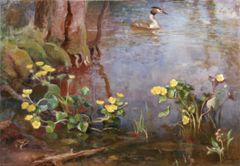 Eero Järnefelt, Silkkiuikku, 1930, öljy kankaalle, Vaasan museot, Pohjanmaan museo taidekokoelma. Kuva: Erkki Salminen