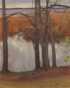 Eero Järnefelt: Kaislikkoranta, 1905, Kansallisgalleria / Ateneumin taidemuseo, Antellin kokoelmat. Kuva: Kansallisgalleria / Aleks Talve.