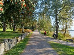 Lehmuspuisto. Kuva: Kati Vuohijoki.