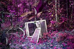 Kati Roover Coexistence, 2018 Full HD videoinstallation 22:44 min stillbild. Obs! Bilderna får inte beskäras.
