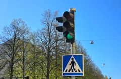 Trafikljus som lyser grönt med ett övergångsställe-skylt, mot en bakgrund av träd och blå himmel.