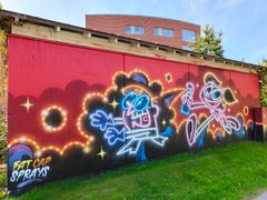 Fat Cap sprays. Kuva: Ilkka Nyqvist