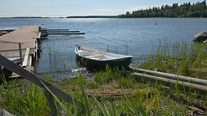 Roddbåten vid Gubbgrund