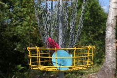 Discgolfkorg med en blå och en rosa disc insamlade.